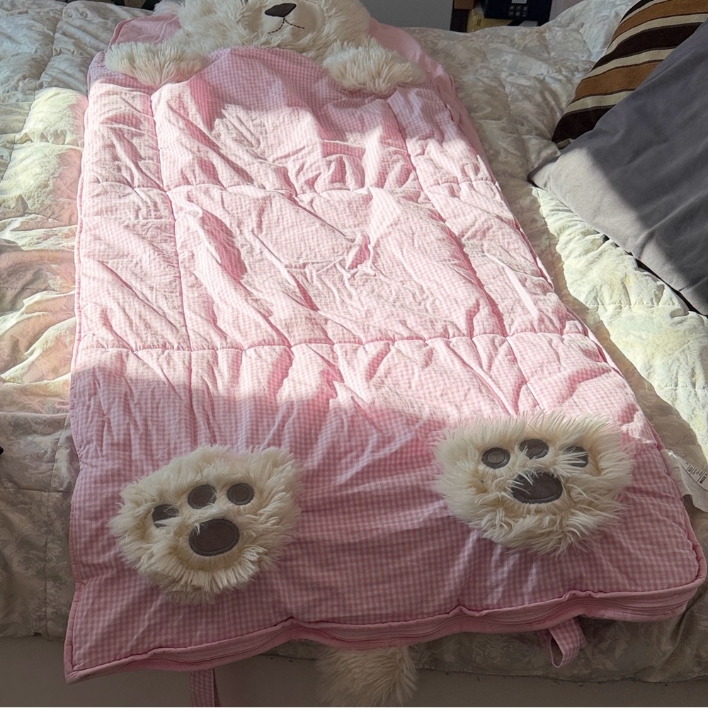Pottery Barn Kids Pink Gingham Bear Paw Hooded Sleeping Bag